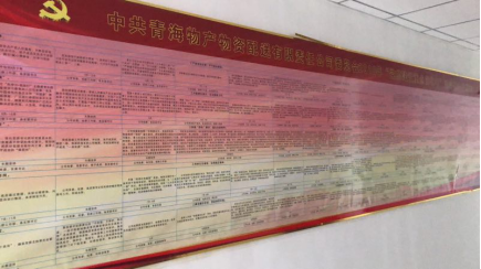 物產(chǎn)配送公司黨委“黨的建設(shè)重點(diǎn)強(qiáng)化年”活動2018年工作任務(wù)、組織保障具體化